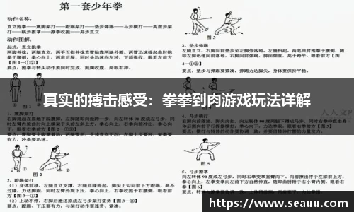 真实的搏击感受：拳拳到肉游戏玩法详解